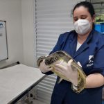 WhatsApp Image 2023-01-13 at 16.59.55