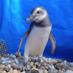 WhatsApp Image 2023-11-06 at 15.53.22 (1)